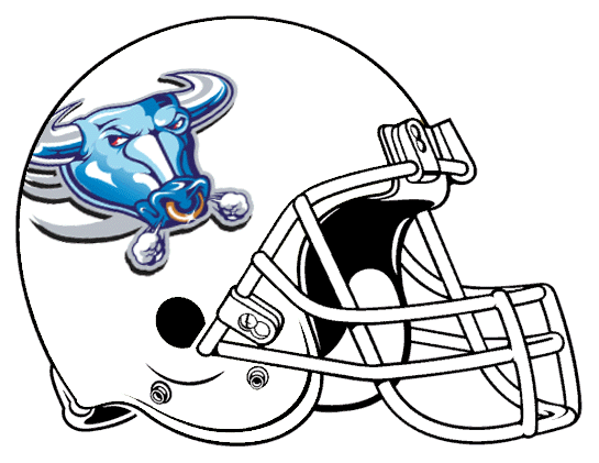 Buffalo Bulls 1997 Helmet Logo iron on transfers for T-shirts